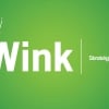 Wink Stratégies