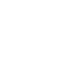Реаспект logo