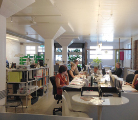 Green Wall Warehouse Studio