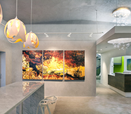 THE VILLAGE EXECUTIVE SUITES