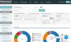Скриншот MegaIndex