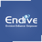 Endive Software