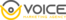 Voice Marketing