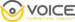Voice Marketing