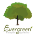 Evergreen