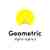 Geometric Digital Agency