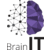 BrainIT