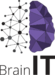 BrainIT