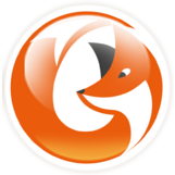 SMM FOX