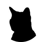 Black cat Production