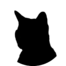 Black cat Production