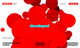 Terentev Design Studio
