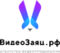 ВидеоЗаяц