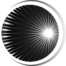 White Luna