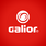 Студия Galior®