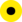 SerpTop