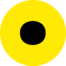 SerpTop