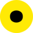 SerpTop