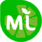 МедиаЛайм