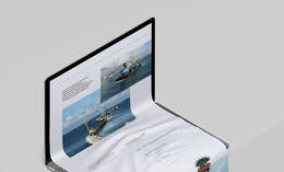 GT corporation