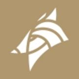 dogstudio