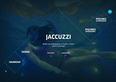 project