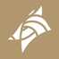 dogstudio