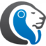 Lemberg Solutions