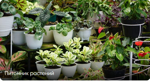 Рост трафика на сайт клиента более чем в 2 раза