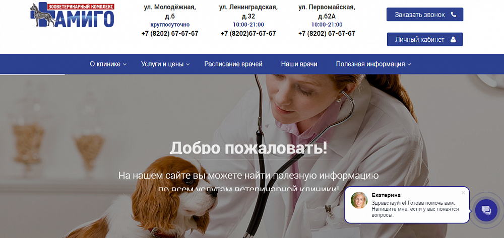 Официальный сайт Ветеринарной клиники АМИГО