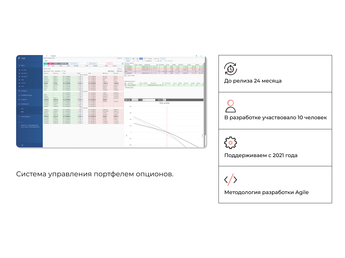 Система управления портфелем опционов