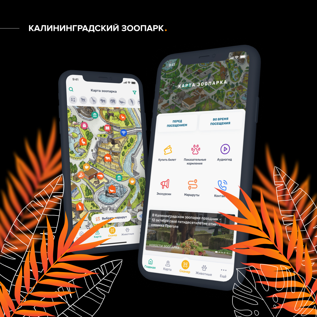 Калининградский зоопарк (AR)