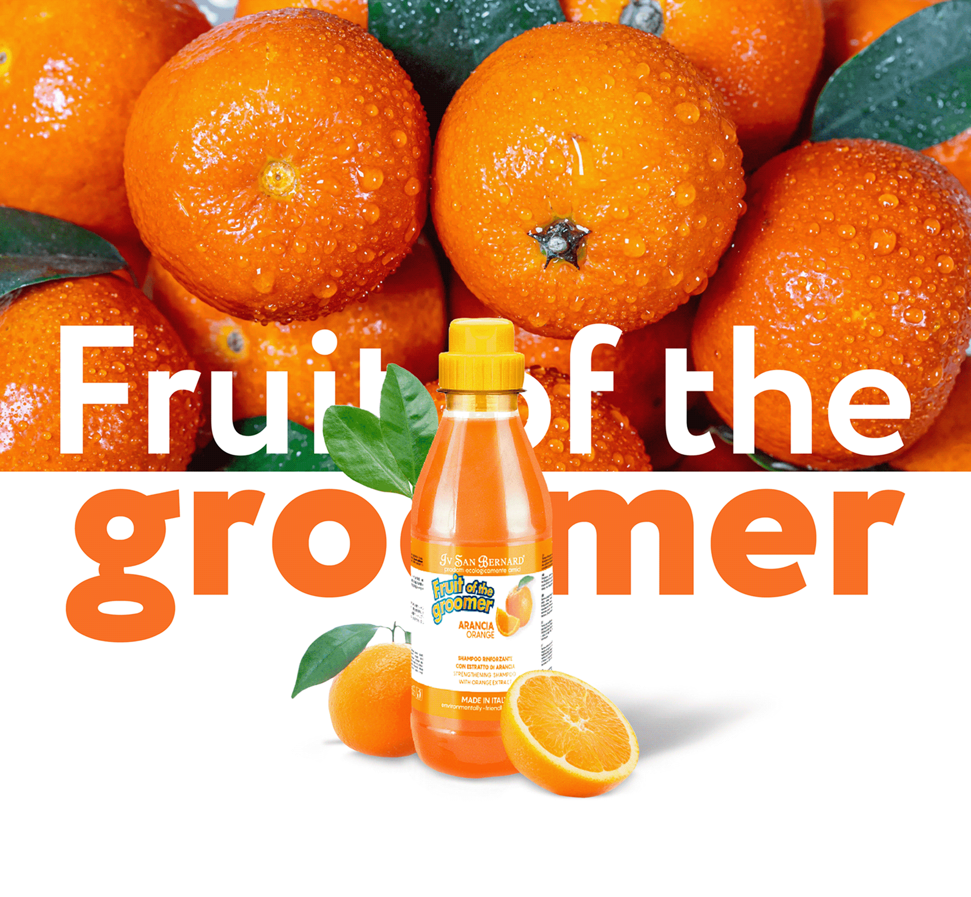 Разработка сайта для бренда «Fruit of the Groomer»