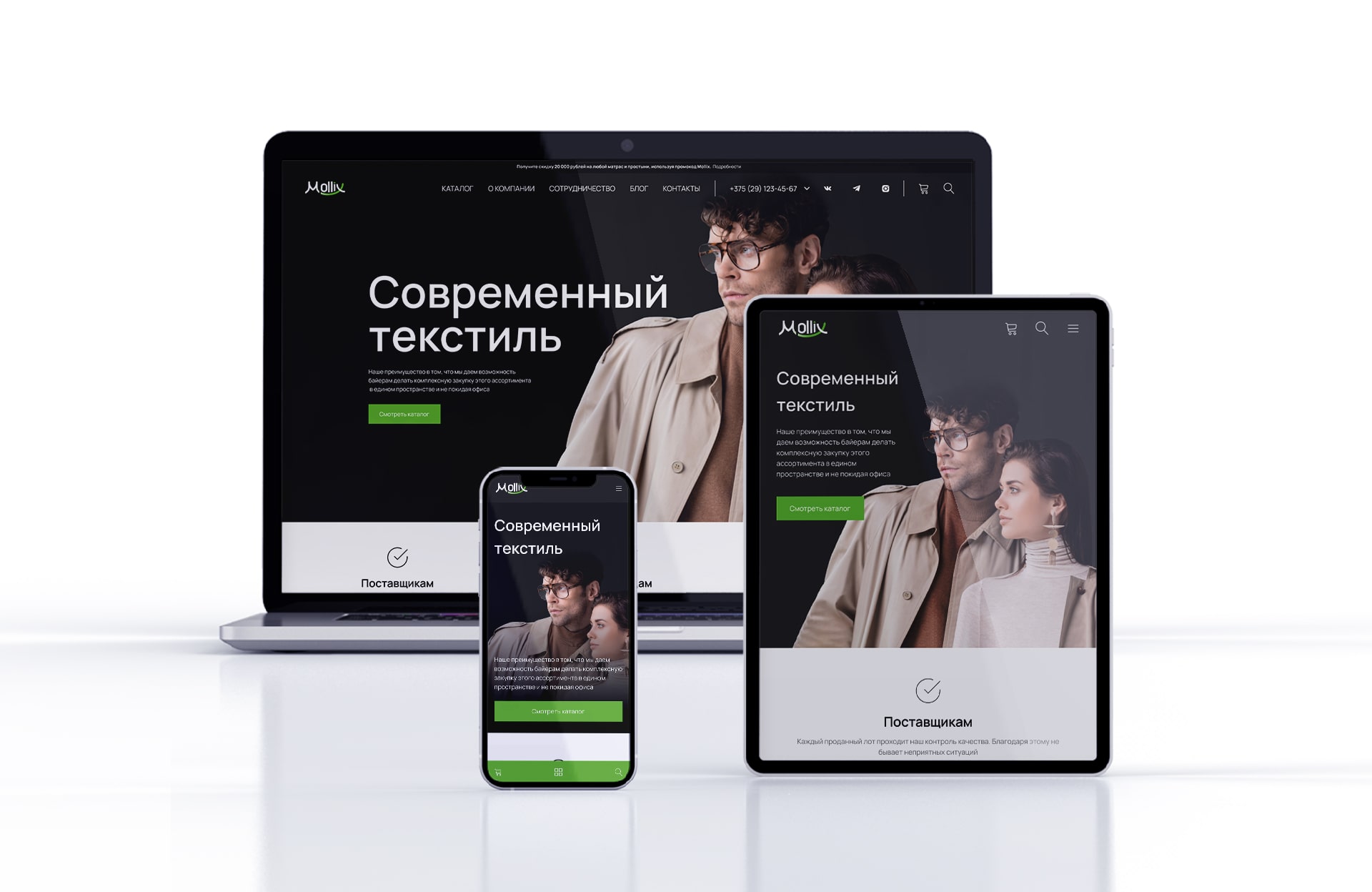 Разработка B2B сайта для Mollix