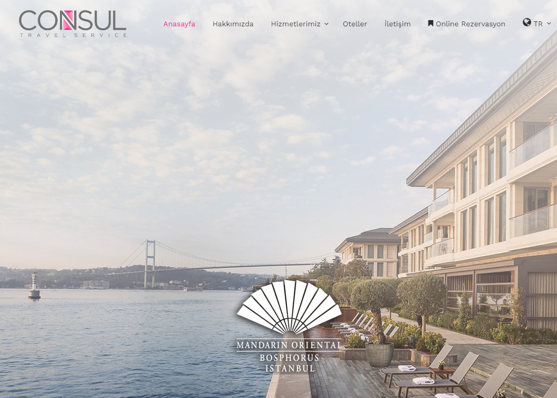 Consul Travel