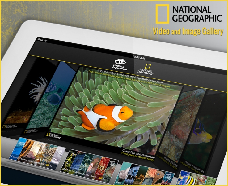 National Geographic: Ocean